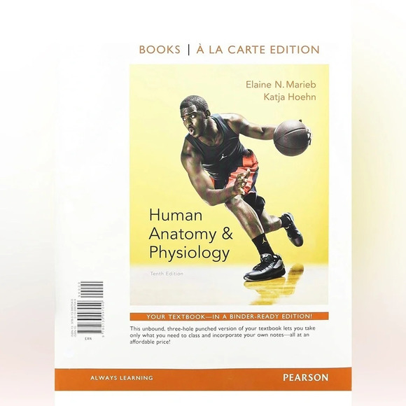 Human Anatomy and Physiology Looseleaf Textbook - Picture 1 of 3